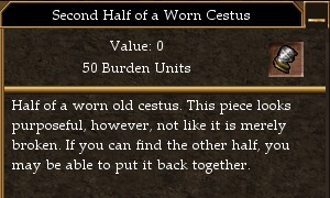 Second Half of a Worn Cestus.jpg