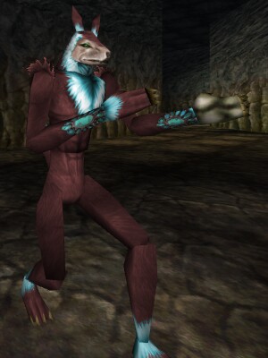 Royal Mite Squire Live.jpg