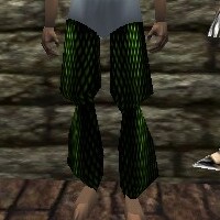 Scalemail Leggings Live.jpg
