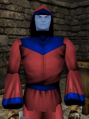 Viamontian Portal Mage Live.jpg