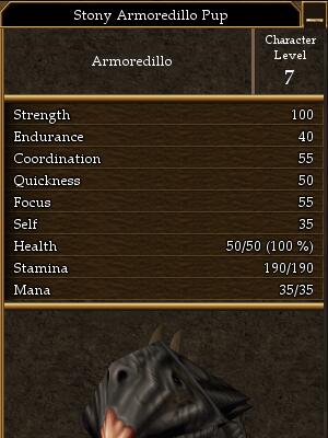 Stony Armoredillo Pup.jpg
