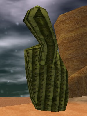 Desert Cactus Live.jpg