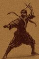 Pic ninja.jpg