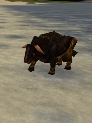 Auroch Yearling Live.jpg