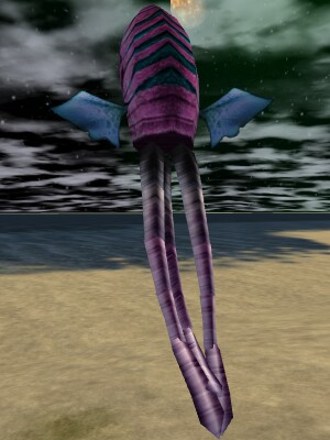 Sephal Niffis Live.jpg