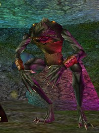 Rheegur Live.jpg