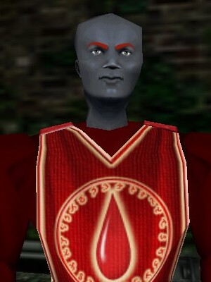 Society Pauldrons Armorsmith (Radiant Blood) Live.jpg