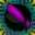 Soldier Femur Metamorphi (Critical Strike) Icon.png
