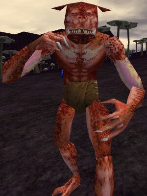 Banderling Predator Live.jpg