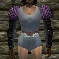 Lorica Sleeves Live.jpg