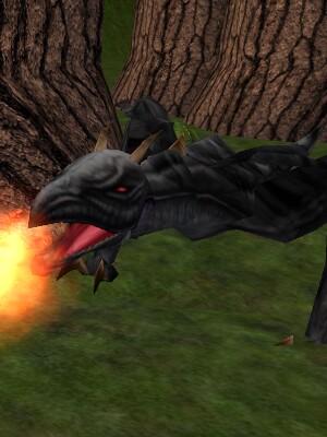 Adolescent Ivory Gromnie Live.jpg