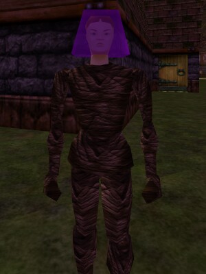 Festival Vendor Live.jpg
