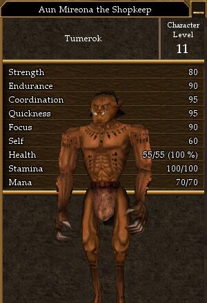 Aun Mireona the Shopkeep.jpg