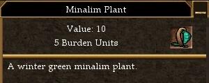 Minalim Plant.jpg