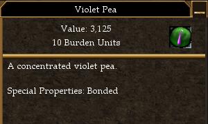 Violet Pea.jpg