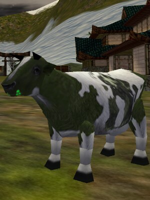 Mad Cow Live.jpg