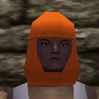 Scalemail Coif Live.jpg