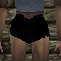 Scalemail Girth Live.jpg