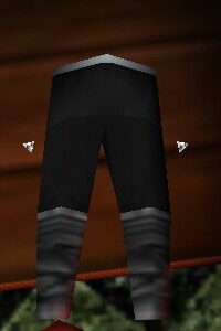 Reinforced Shou-jen Shozoku Trousers 2 Live.jpg
