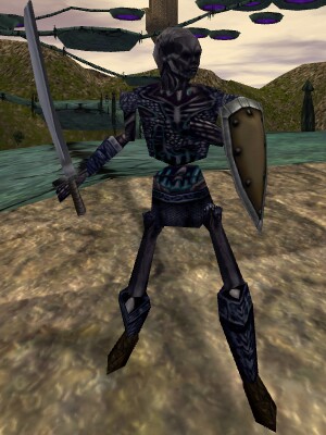 Warrior of the Blood Live.jpg