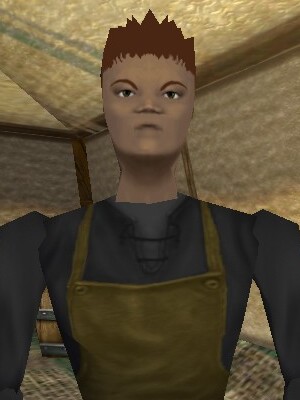 Nu'nifiba the Shopkeeper Live.jpg