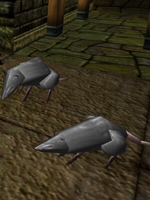 Giant White Rat Live.jpg