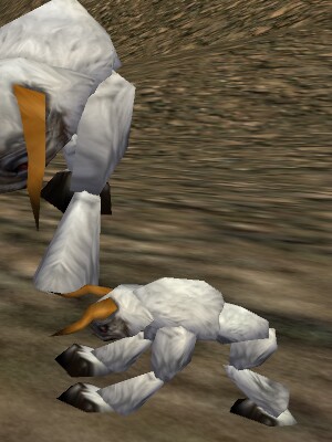 Great Mattie Live.jpg