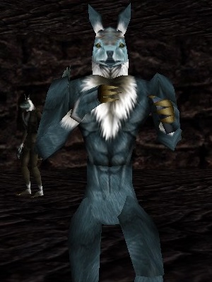 Troublesome Mite Live.jpg