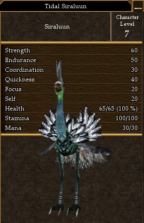 Tidal Siraluun.jpg