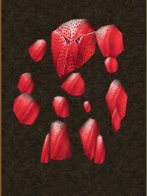 Mini Coral Golem Live.jpg