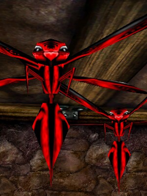 Agitated Phyntos Wasp Live.jpg