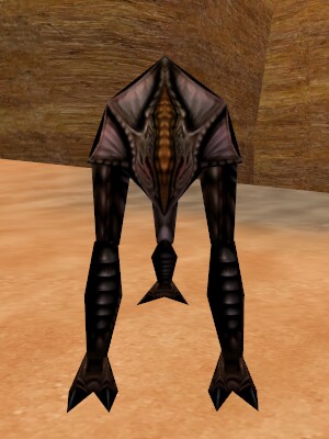 Reedshark Seeker Live.jpg