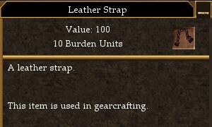 Leather Strap.jpg