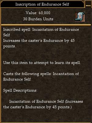 Inscription of Endurance Self.jpg