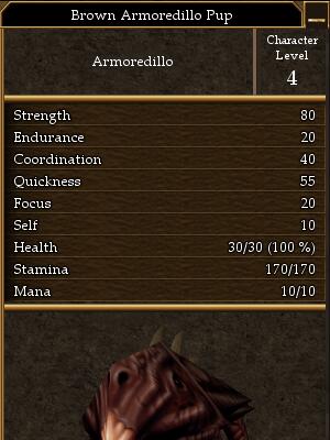 Brown Armoredillo Pup.jpg