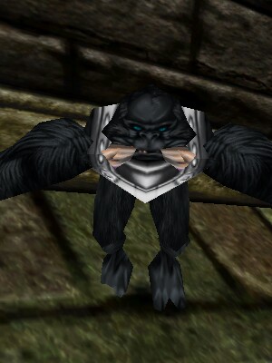 Tuskie Gunner Live.jpg