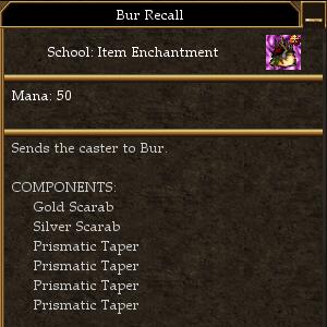 Bur Recall.jpg
