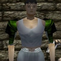 Yoroi Pauldrons Live.jpg