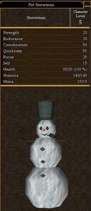 Pet Snowman.jpg