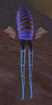 Img niffis.jpg