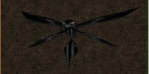Mini Black Phyntos Wasp Live.jpg
