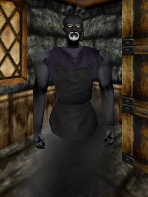Scrivener of Void Magic Live.jpg
