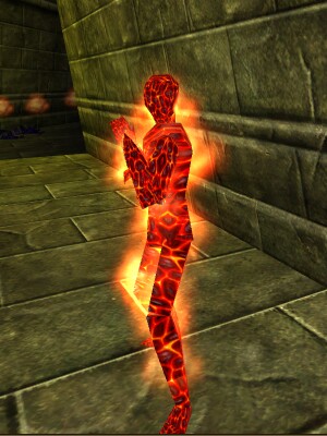 Strife Proctor Live.jpg