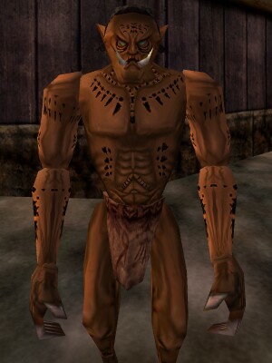 Aun Aemaua Live.jpg