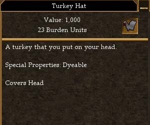 Turkey Hat.jpg