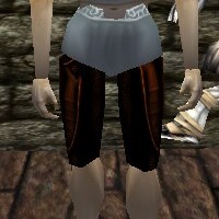 Yoroi Tassets Live.jpg