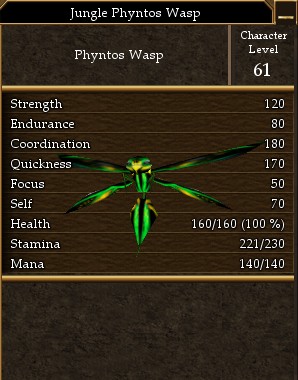Jungle Phyntos Wasp.jpg