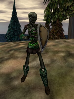 Lesser Acolyte (Level 20) Live.jpg