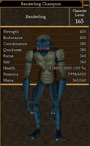 Banderling Champion.jpg