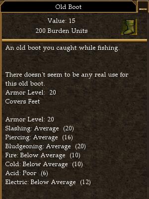 Old Boot.jpg